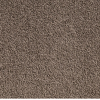 Spiced_Mushroom__p27_1